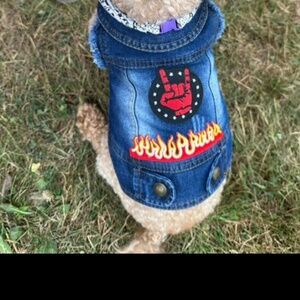 Dog Jean jacket